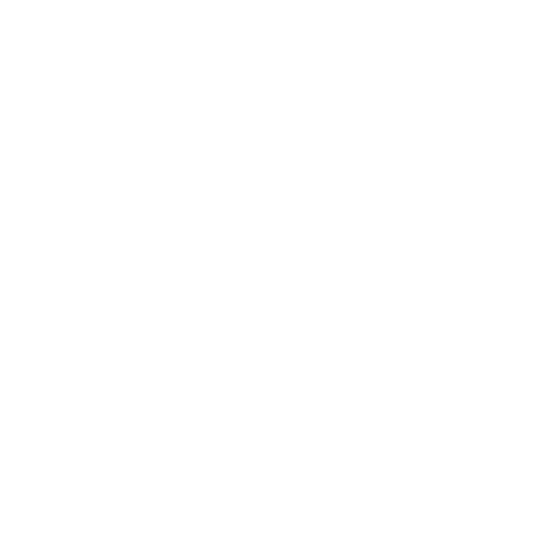  plane icon 