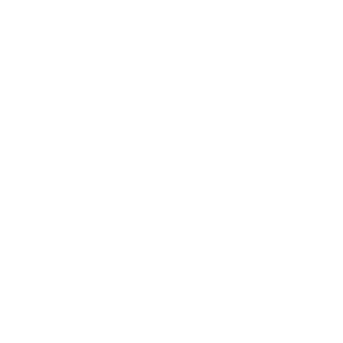  Brain Icon 
